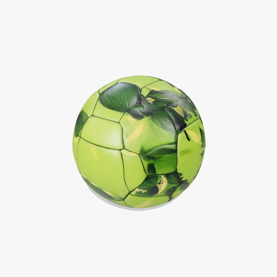 Tropical Green Soccer Ball model pack